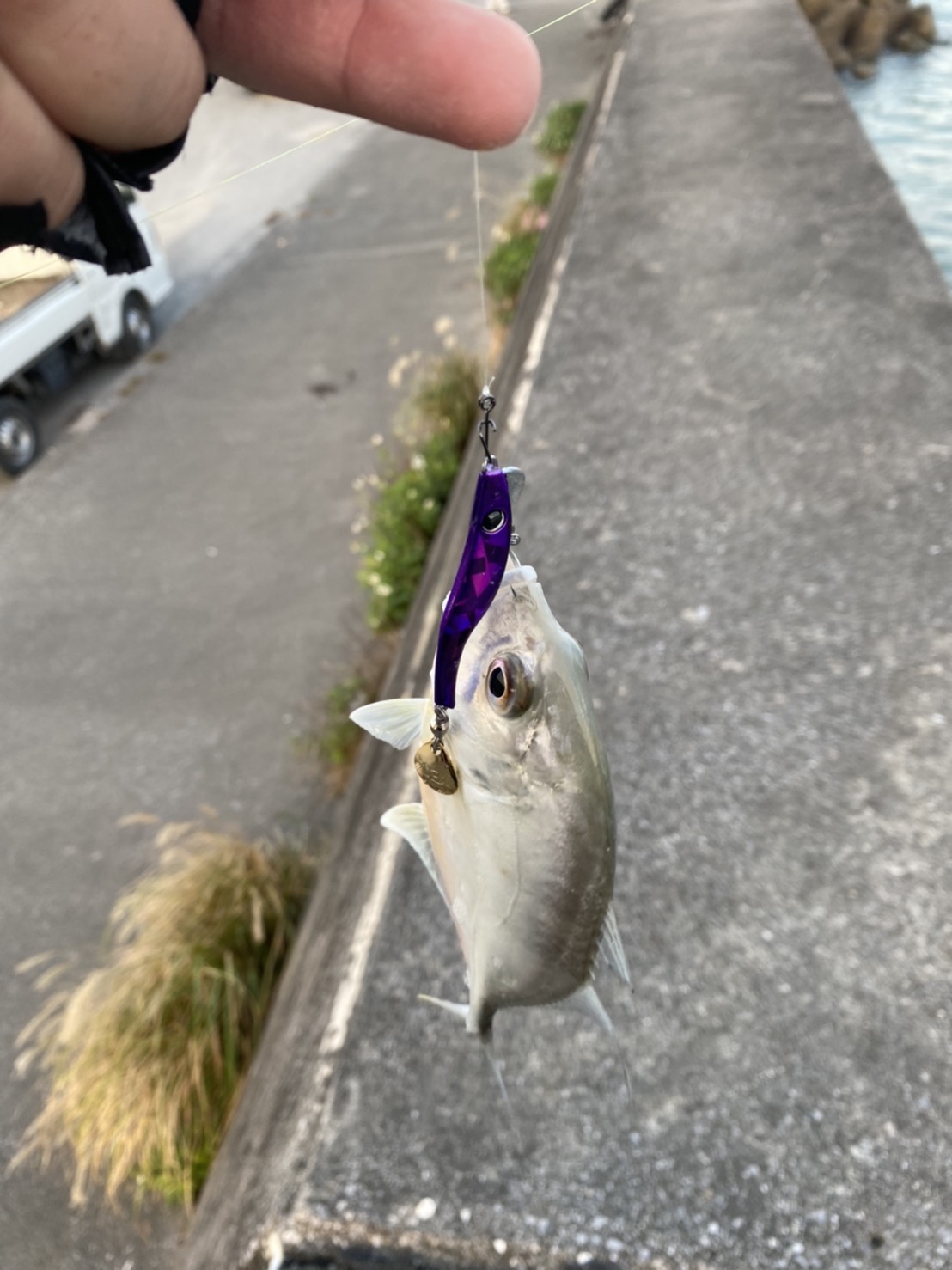 久々の南部でのメッキ釣り ヒデキチだより