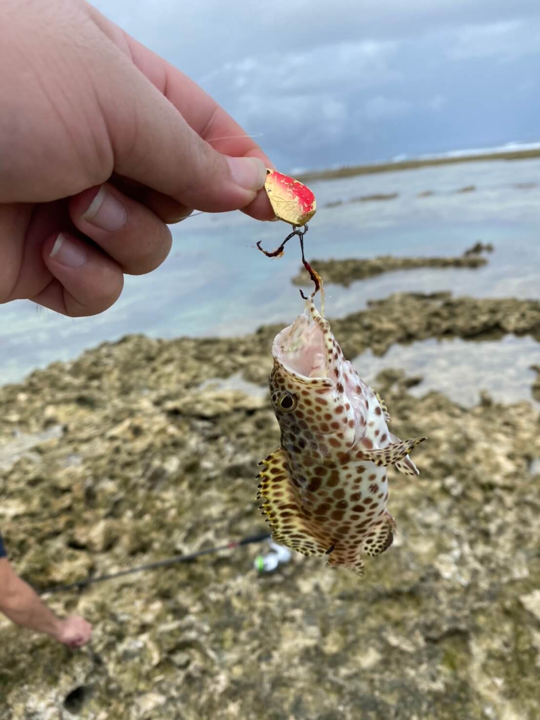 荒崎海岸にリーフ釣りに行ってきました ヒデキチだより